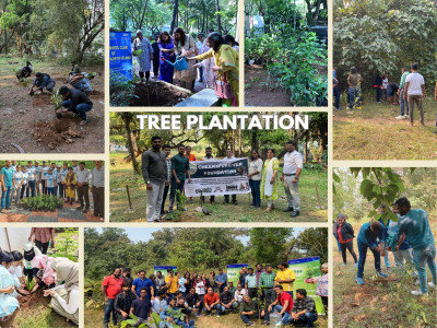 Tree Plantation Drives